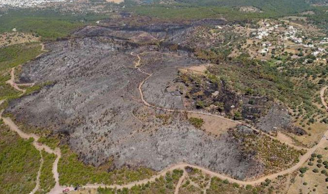 Muğla'daki orman yangını drone ile görüntülendi