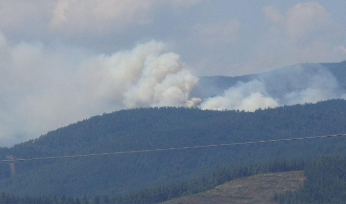 Bursa’da korkutan orman yangını